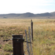 East Cape taken by citizen scientist Justin du Toit in April 2016. Both images above were taken after a prolonged drought. The scientists point out there’s “a distinct change in vegetation due to a reduction in stocking numbers and an increase in rainfall.”